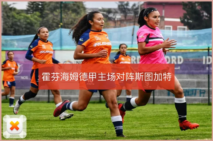 霍芬海姆德甲主场对阵斯图加特