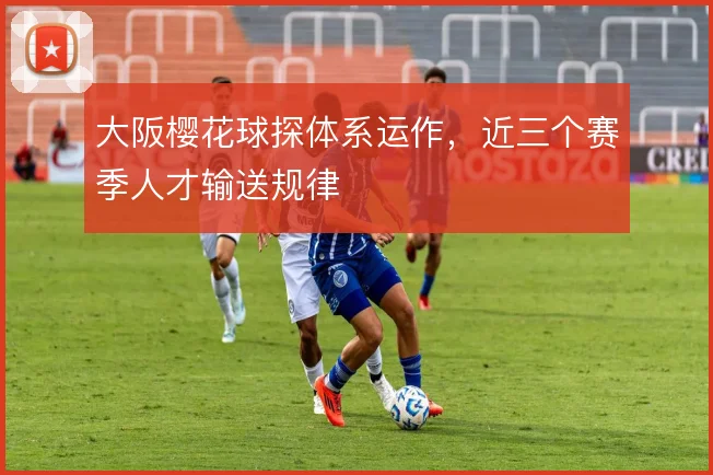 大阪樱花球探体系运作，近三个赛季人才输送规律