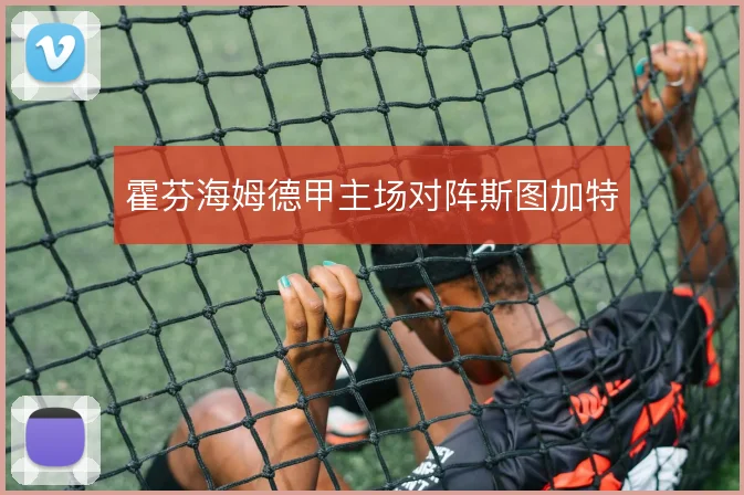 霍芬海姆德甲主场对阵斯图加特